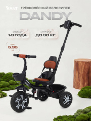 Велосипед 3-х колесный Rant Basic Dandy Black