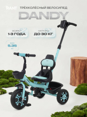 Велосипед 3-х колесный Rant Basic Dandy Mint