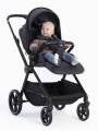 Коляска прогулочная Rant Moss 2025 Graphite