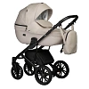 Коляска 2 в 1 Indigo Mio Eco