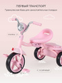 Велосипед 3-колесный Mowbaby Roadie Pink